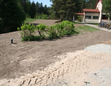 Kolga kooli haljastus