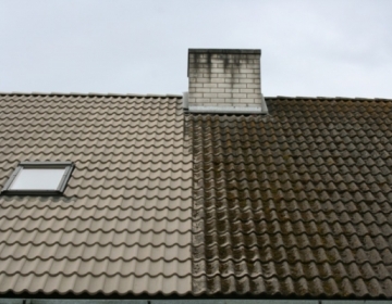 Cleaning roofs of moss