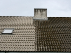 Sammaleen poistaminen katoilta