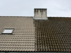 Cleaning roofs of moss